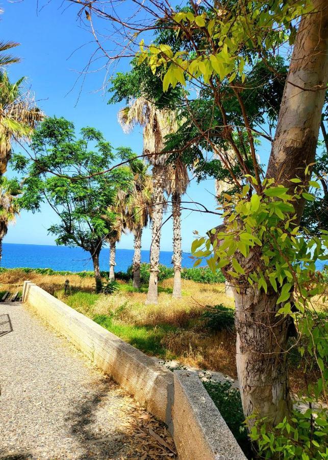 Villa Aphrodite By The Sea Πάφος Εξωτερικό φωτογραφία